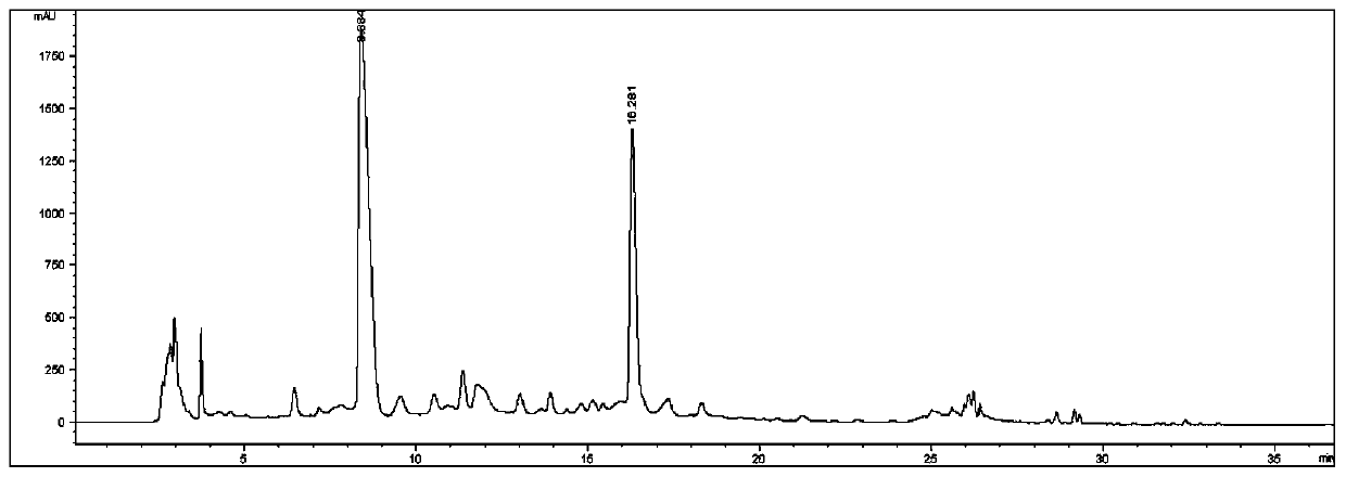Method for preparing safflower extract through eutectic solvent