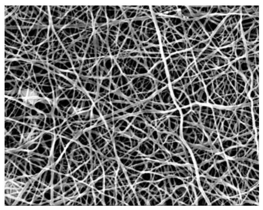 A kind of medical composite nanofiber dressing and its preparation method and application