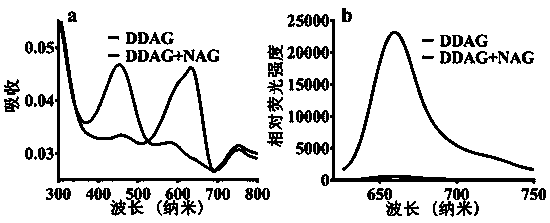 Fluorescent probe for detecting N-acetyl-beta-D-glucosaminidase and application thereof