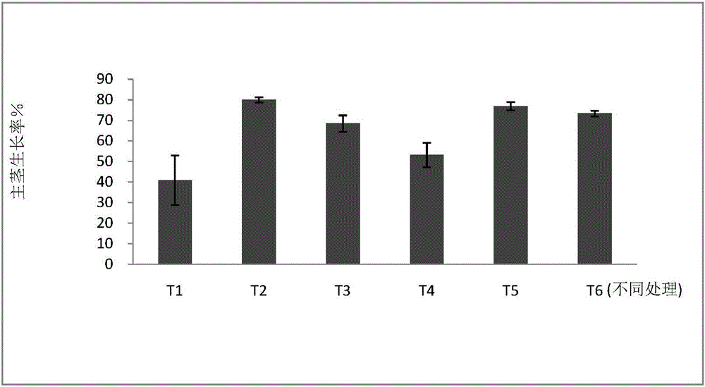 Method for poikilothermic treatment of lily seedballs based on phase change