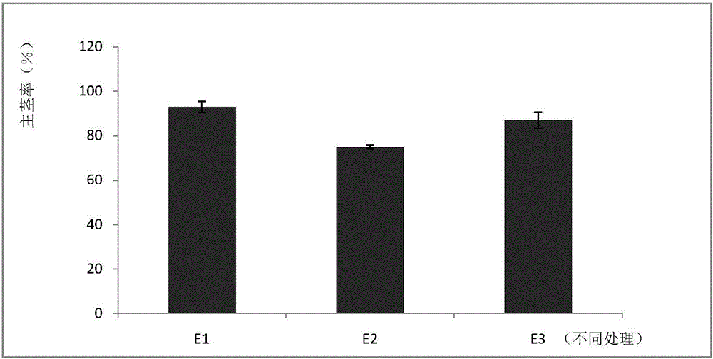 Method for poikilothermic treatment of lily seedballs based on phase change