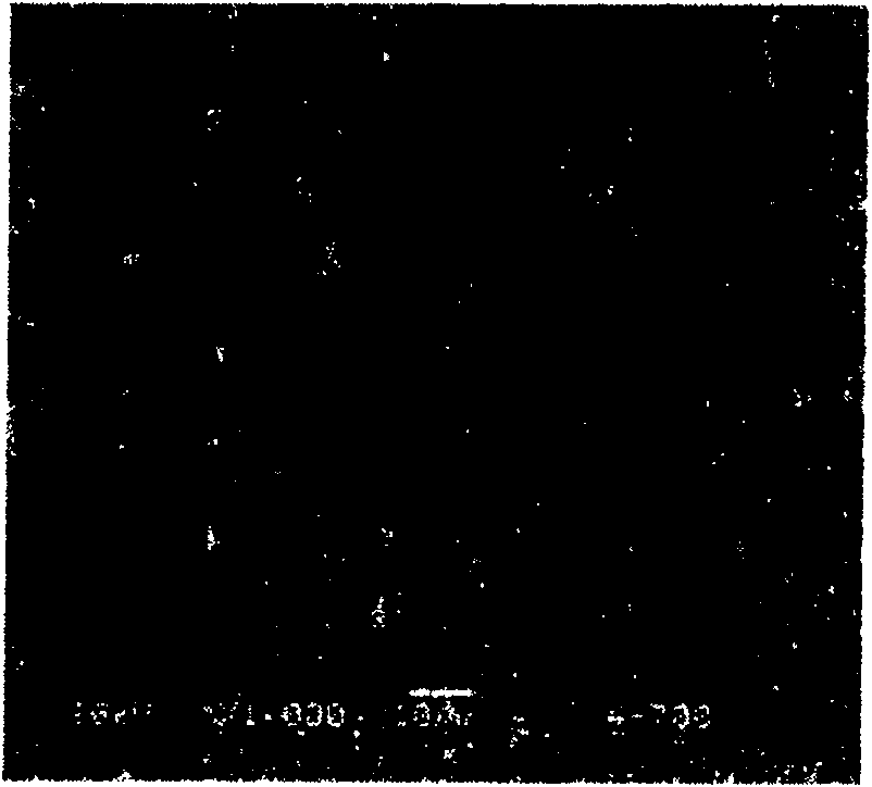 Method for rapidly sintering Nd-Fe-B ferromagnet