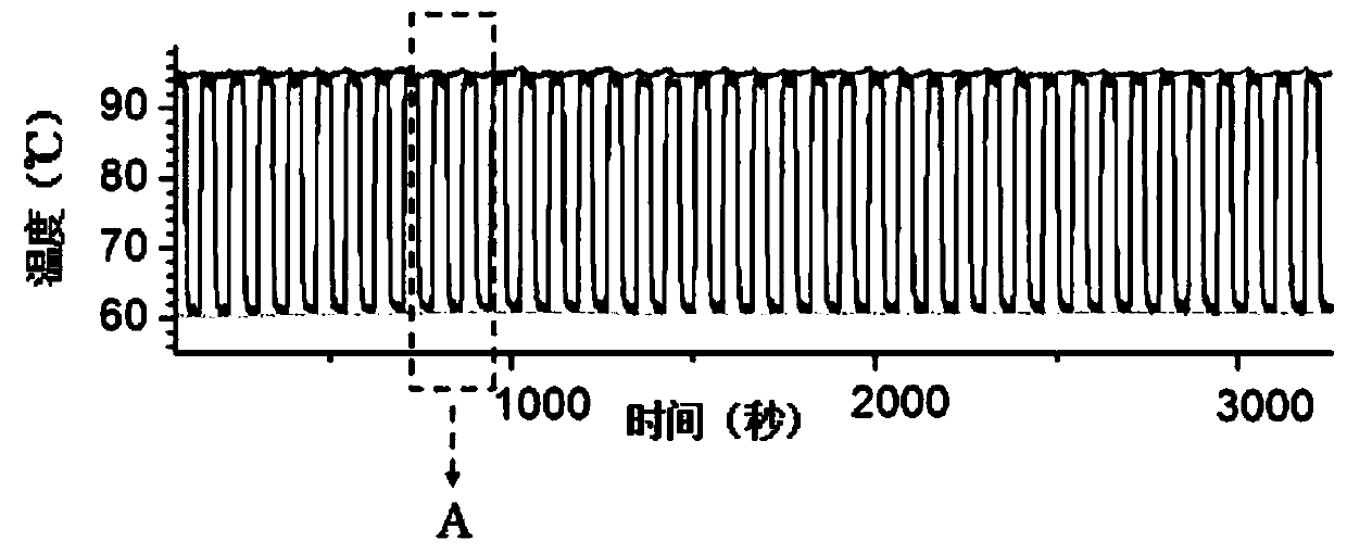 Circulating digital PCR method, circulation system, digital PCR chip and preparation method of digital PCR chip