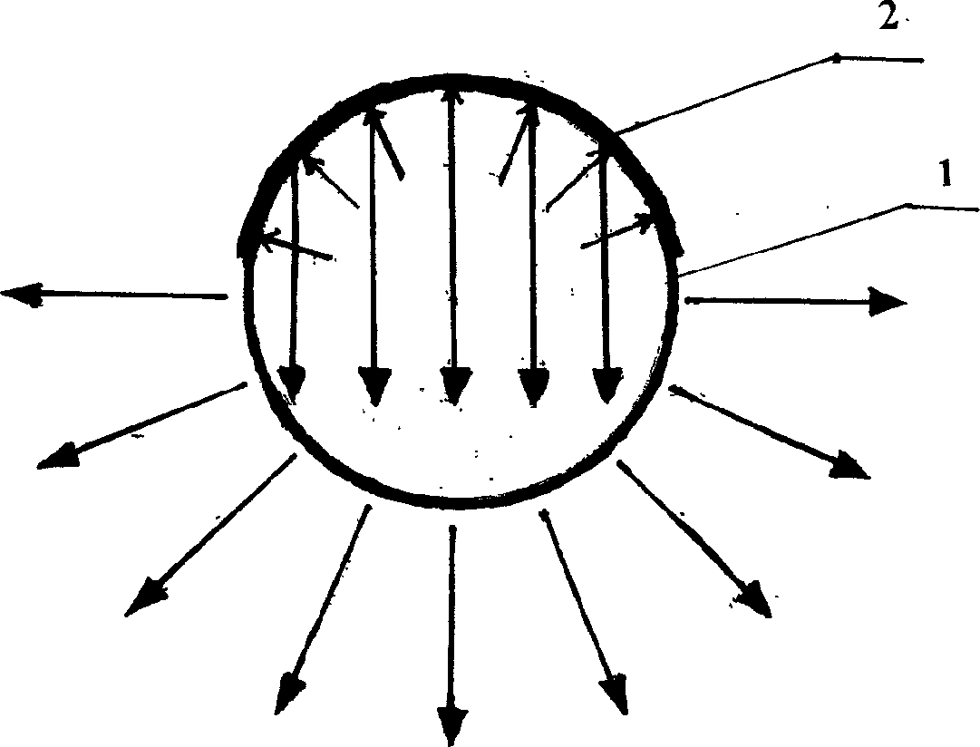 Fluorescent tube with reflection shielding film on backward tube wall