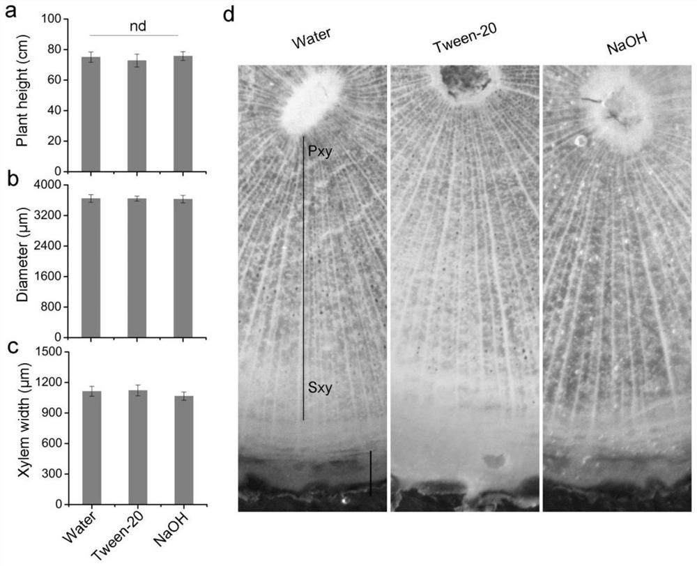 Application of chemical inducers in promoting growth and development of sandalwood seedling stems