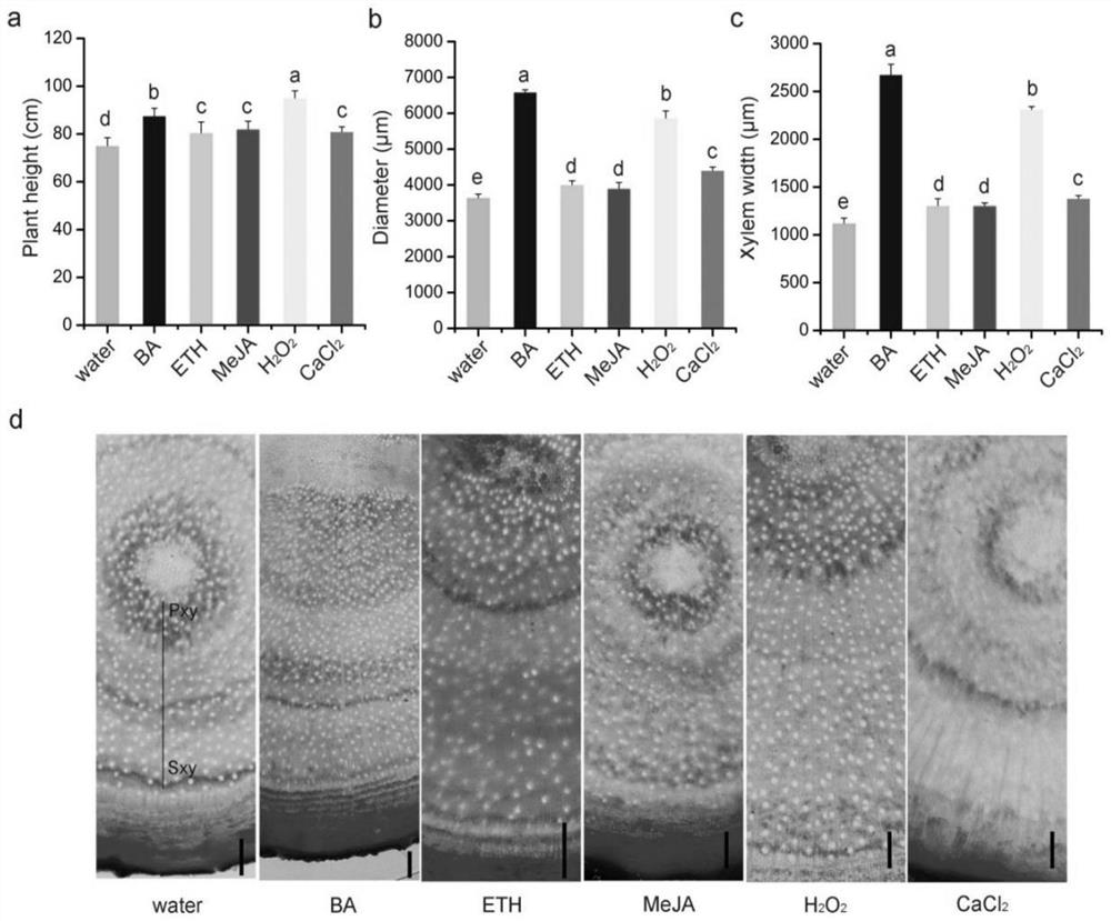 Application of chemical inducers in promoting growth and development of sandalwood seedling stems