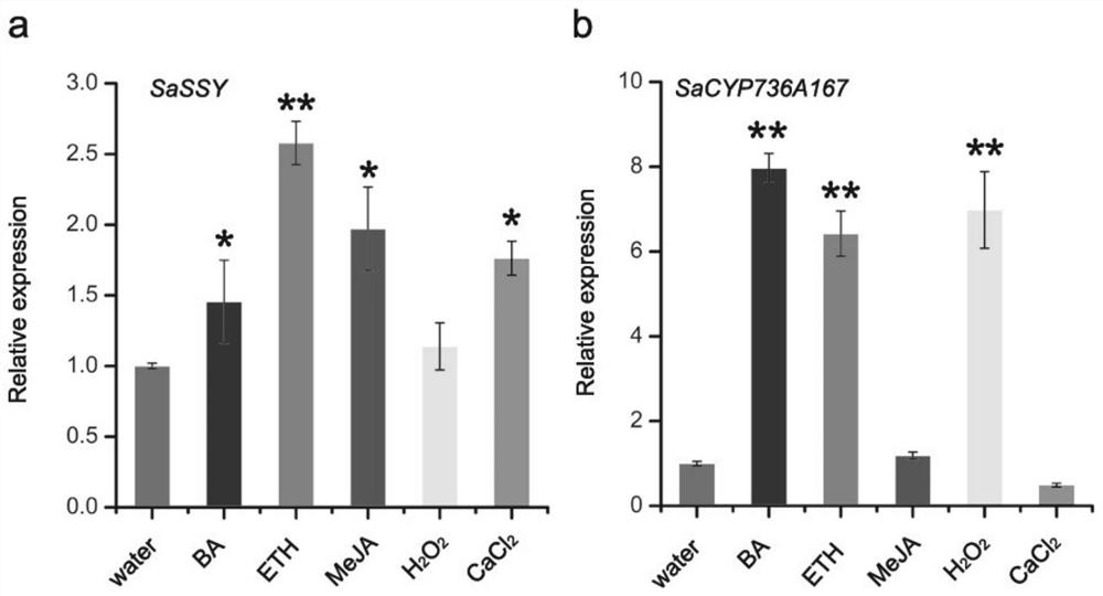 Application of chemical inducers in promoting growth and development of sandalwood seedling stems