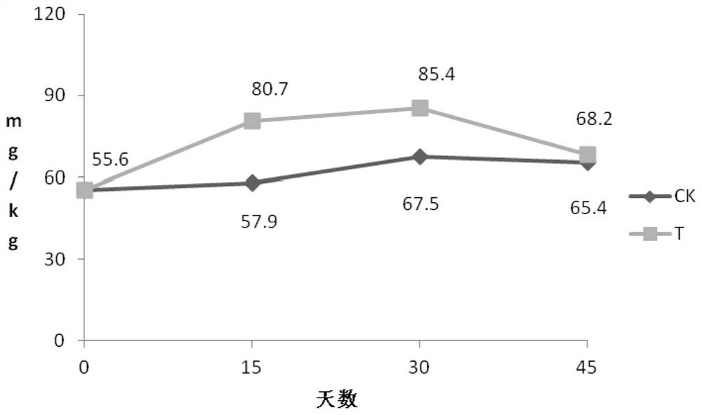 A kind of microbial immobilization agent and preparation method thereof for improving tea garden soil available nitrogen