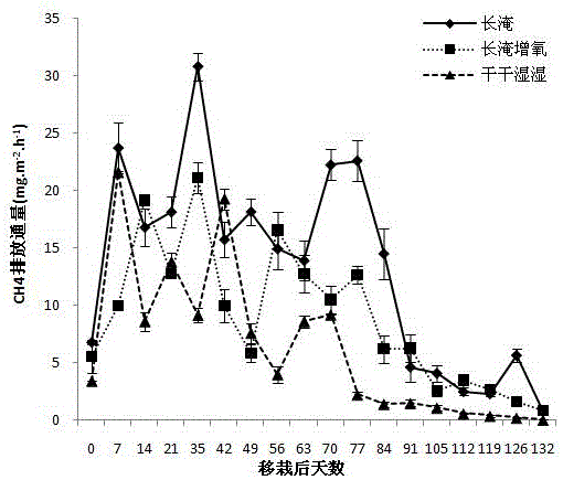 Method for reducing methane emission in rice field by altering rhizosphere oxygen environment