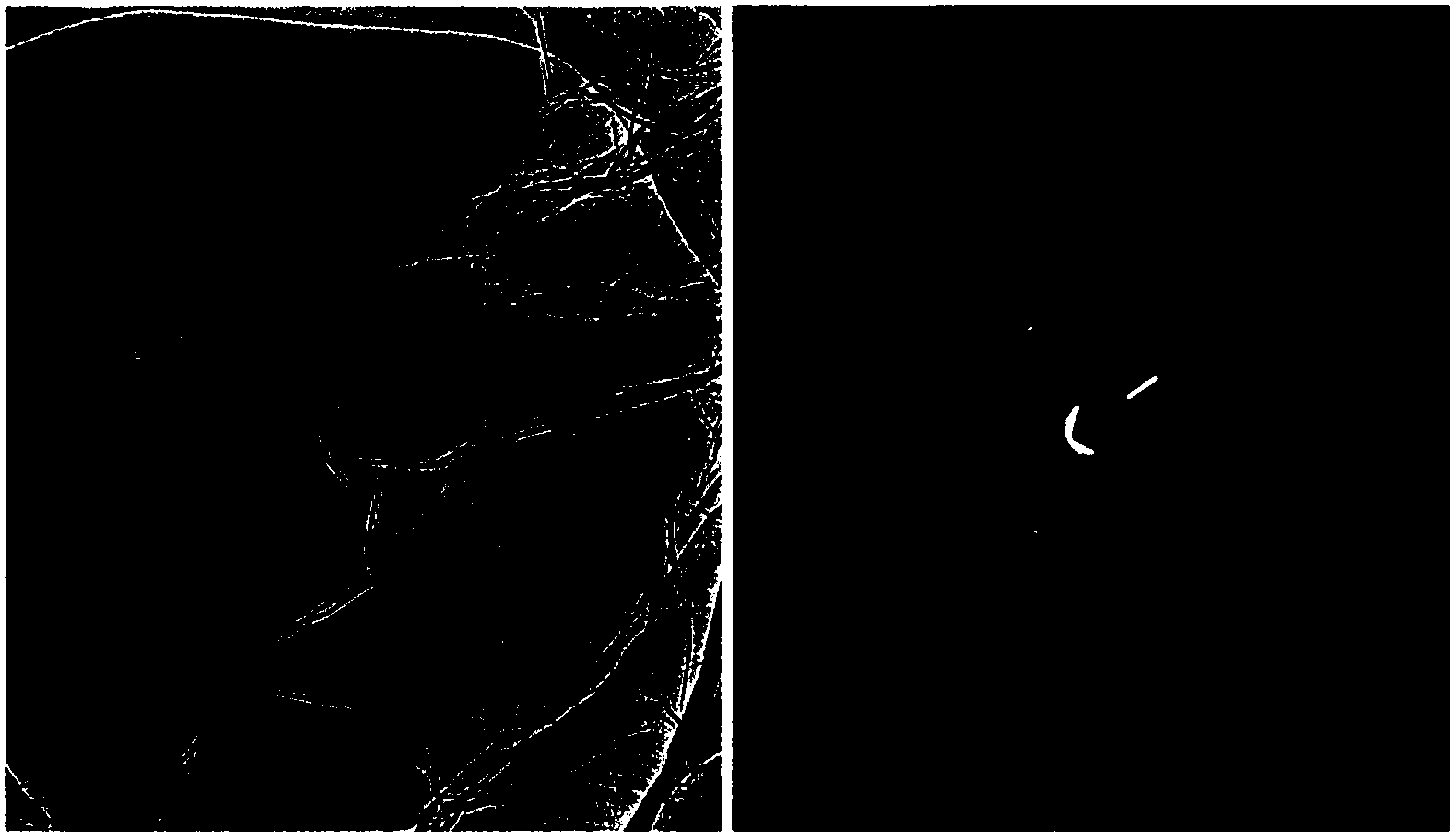 Method for preparing high-quality graphene through catalytic oxidation multiple-intercalation