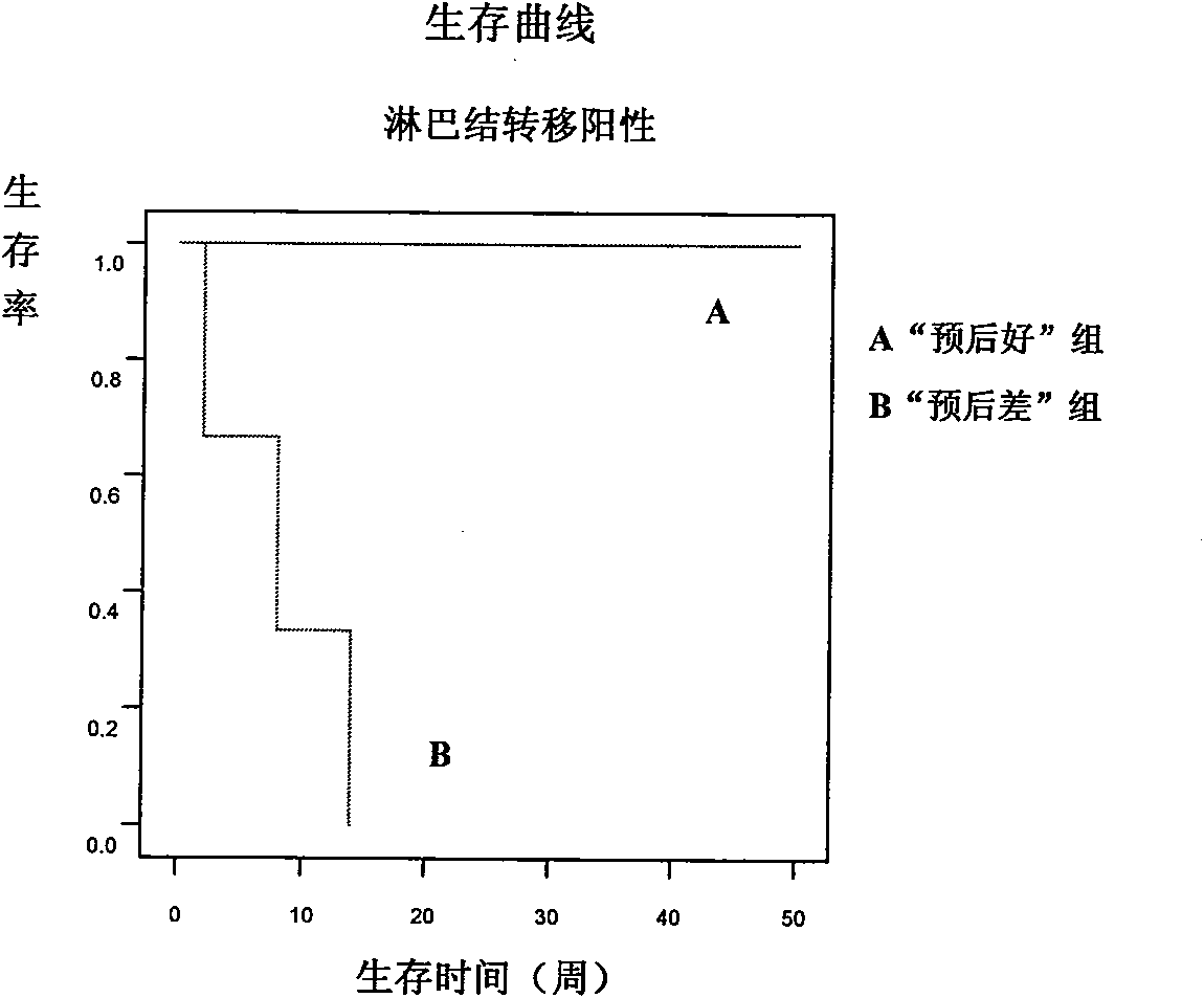 Gene group for selection and/or prognostic evaluation of lung cancer treatment scheme, gene chip and detection kit thereof
