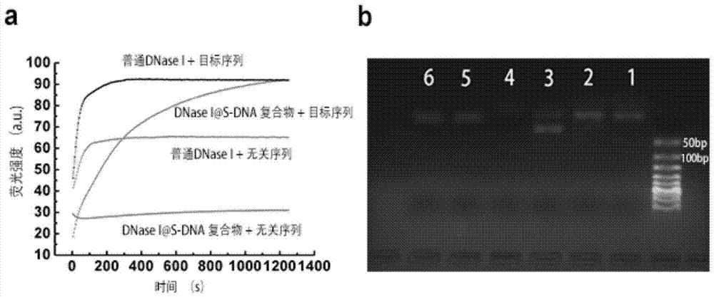 Enzyme complex and method for regulating nuclease sequence selectivity