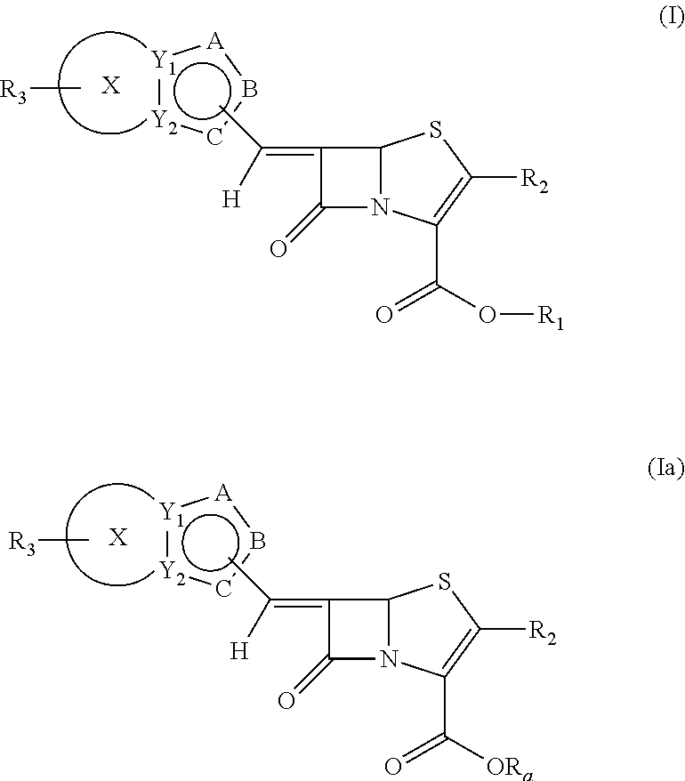 Novel fused bridged bicyclic heteroaryl substituted 6-alkylidene penems as potent  beta-lactamase inhibitors