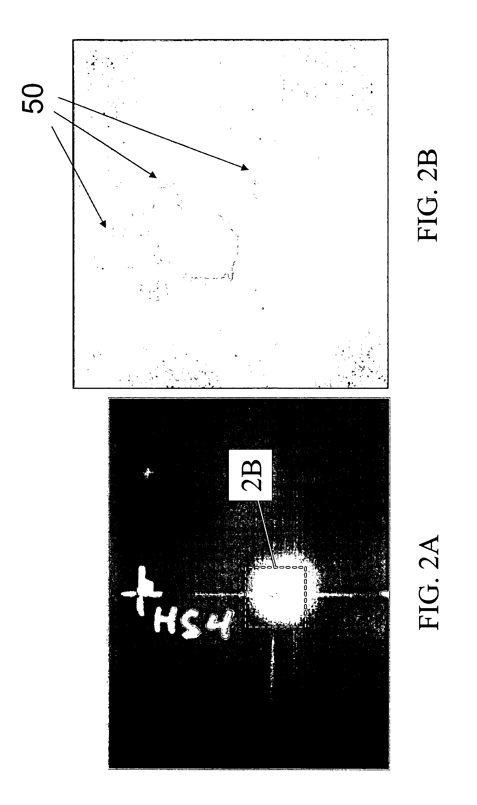 Non-contact thermo-elastic property measurement and imaging system for quantitative nondestructive evaluation of materials
