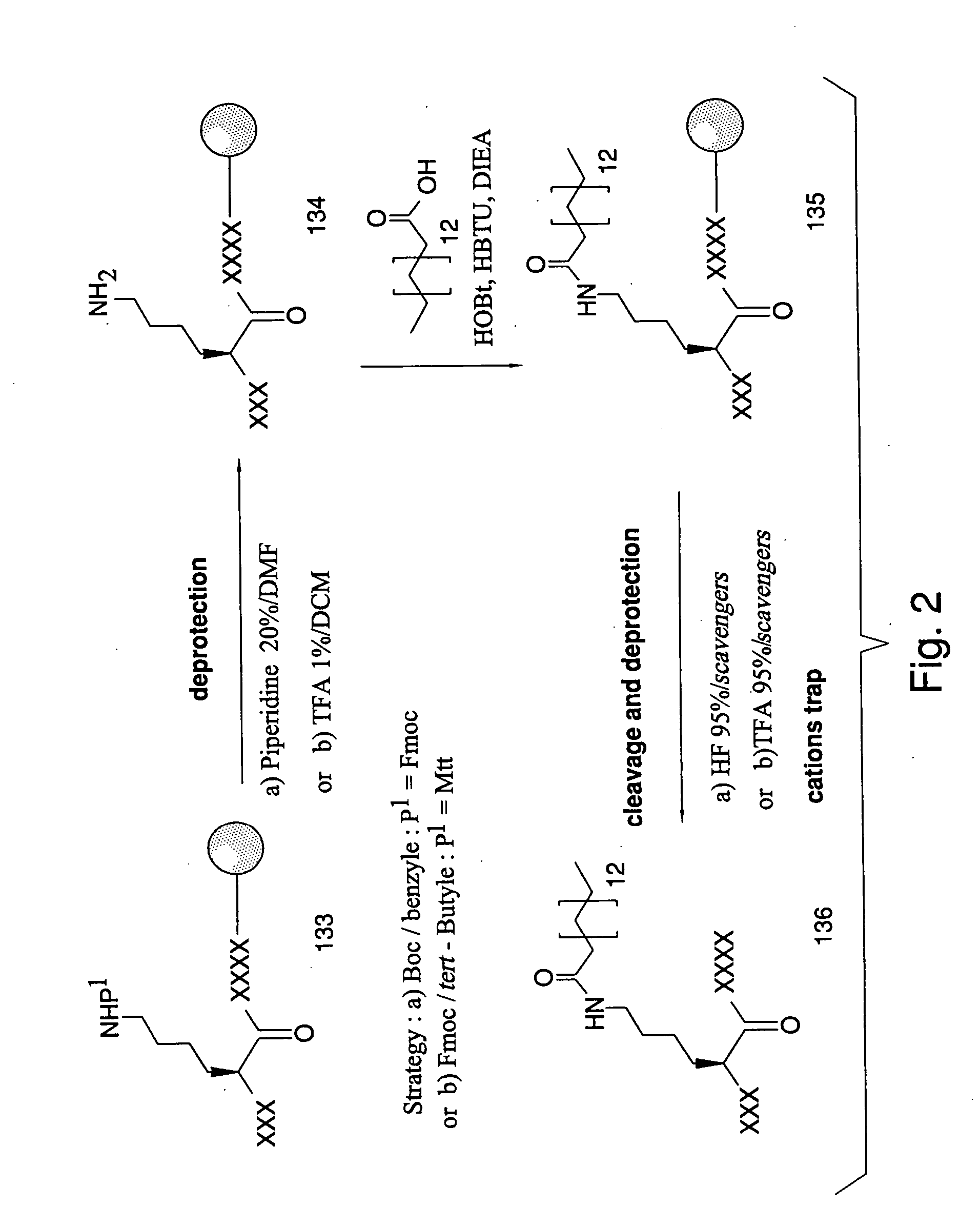 Therapeutic vaccine targeted against P-glycoprotein 170 for inhibiting multidrug resistance in the treatment of cancers