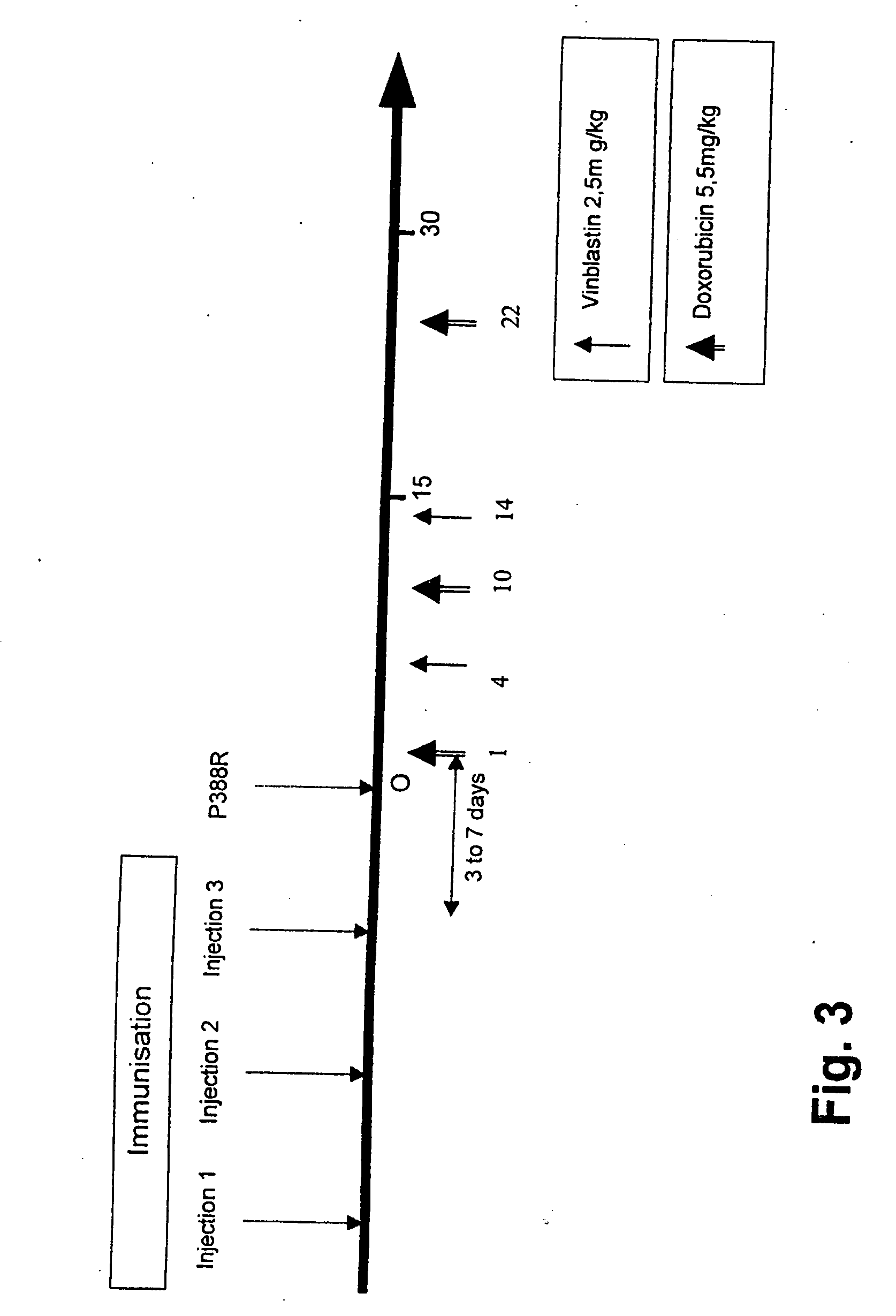 Therapeutic vaccine targeted against P-glycoprotein 170 for inhibiting multidrug resistance in the treatment of cancers