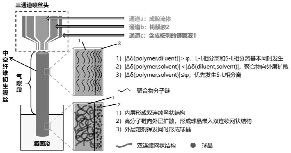 Super-hydrophobic polyolefin hollow fiber membrane for oxygenated membrane and preparation method of super-hydrophobic polyolefin hollow fiber membrane