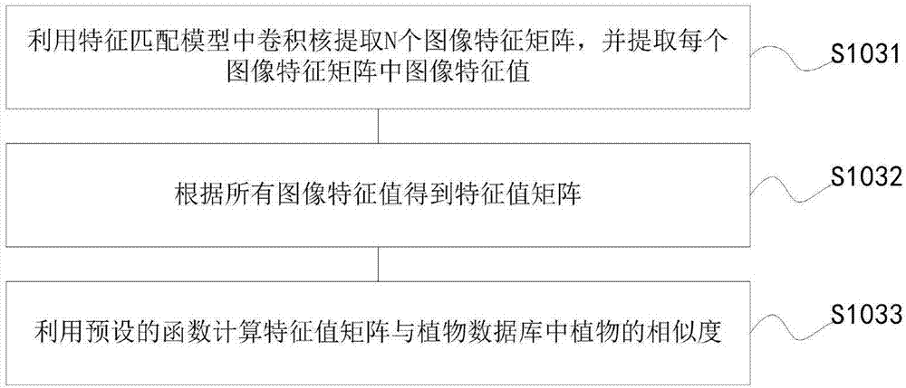 Plant identification method and system based on convolutional neural network