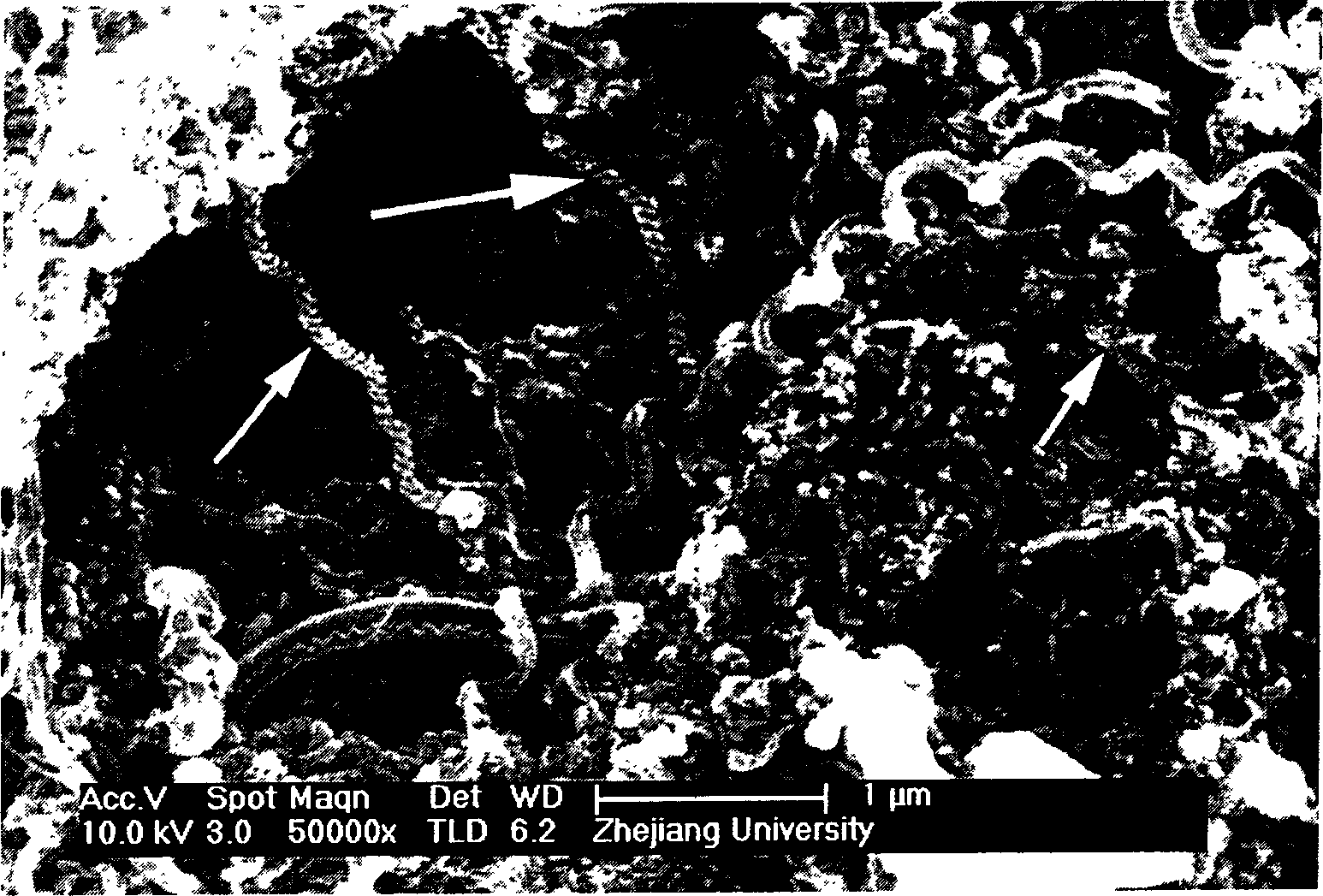 Method for preparing spiral carbon nano pipe