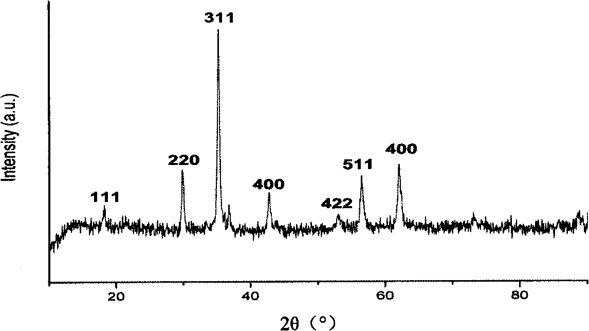 Superparamagnetic nanoparticle and method of producing the same