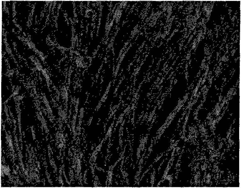 Method for synthesizing carbide nano powder by solid-phase reaction