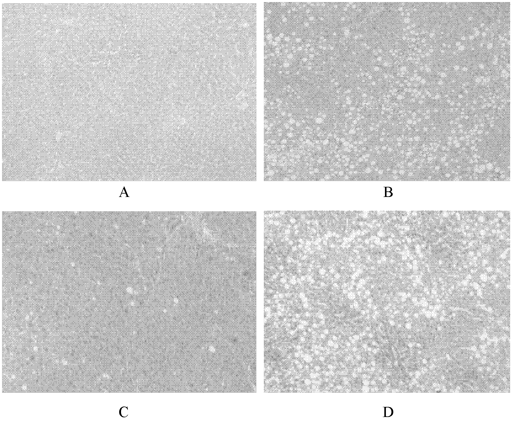 Selenium-containing curcumin polymer and its preparation method and application