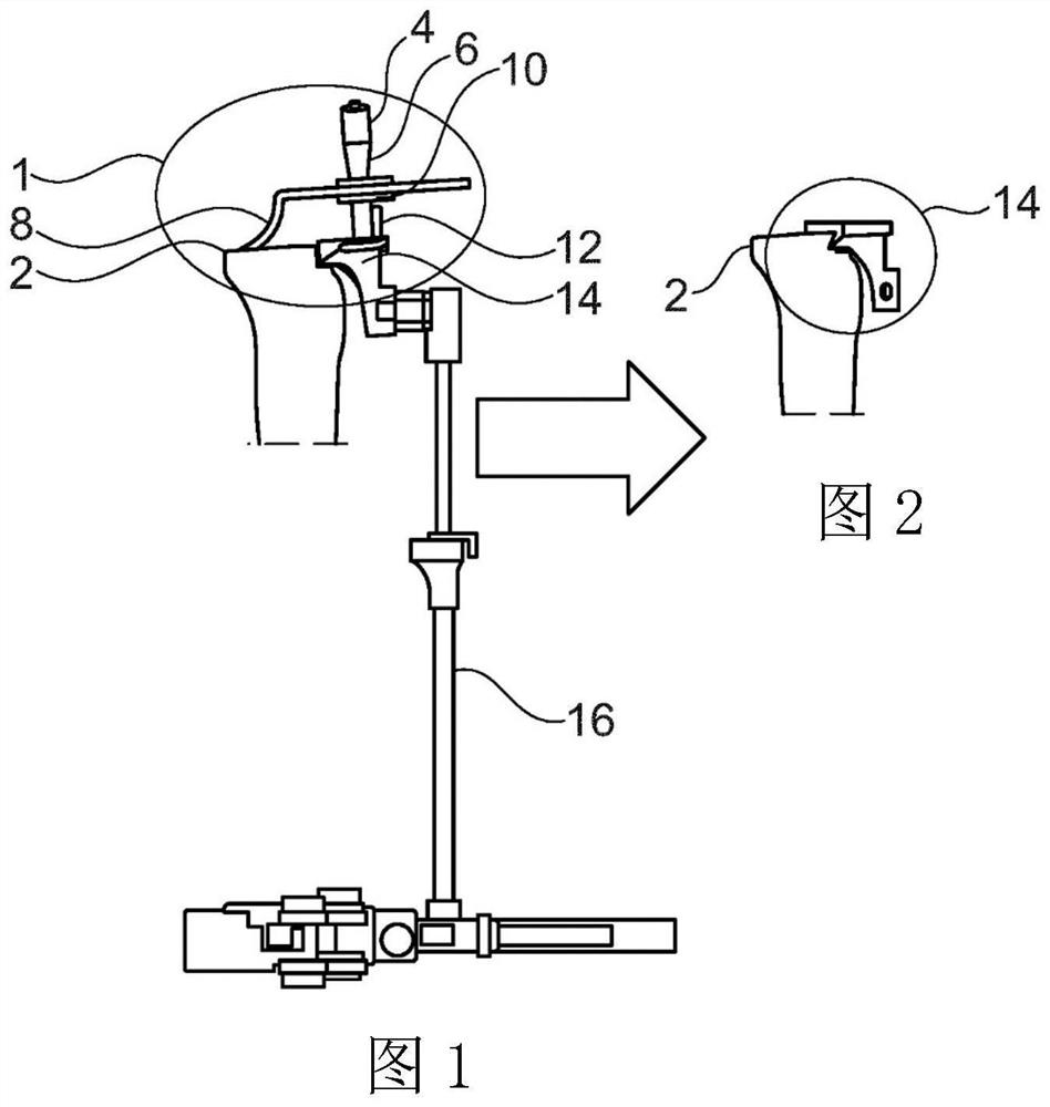 Orientation apparatus with feedback