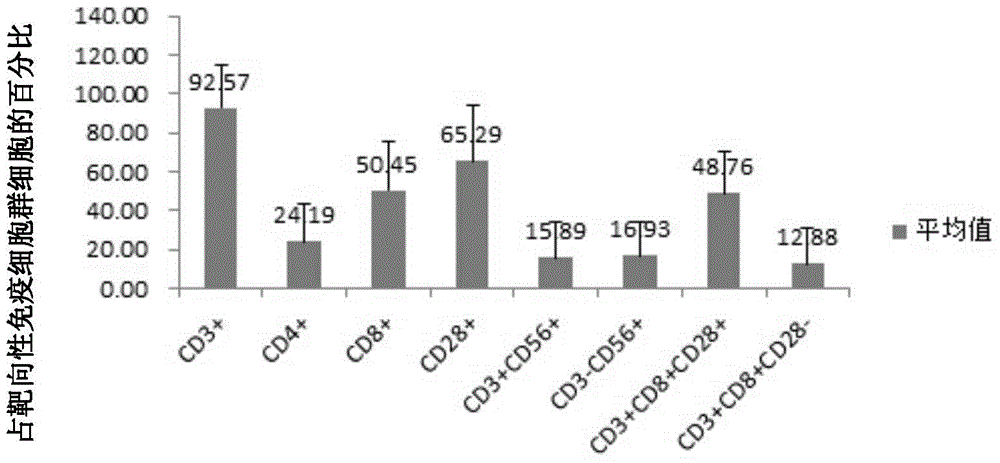 CK19 antigen based DC cell and targeting immune cell population, and preparation method and application thereof