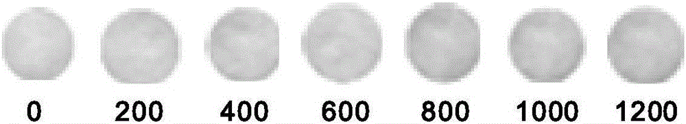 Sulfur-containing organic phosphorus pesticide sensor and preparation and application thereof