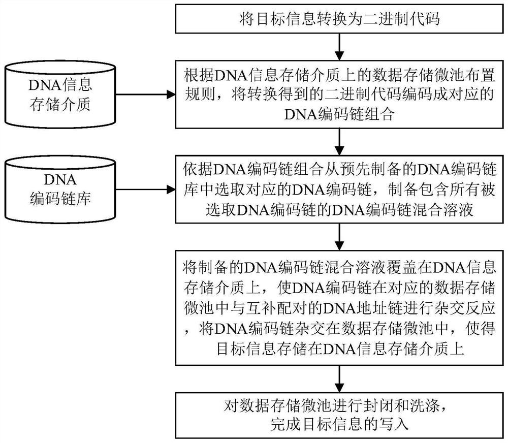 DNA information storage parallel addressing write-in method and system