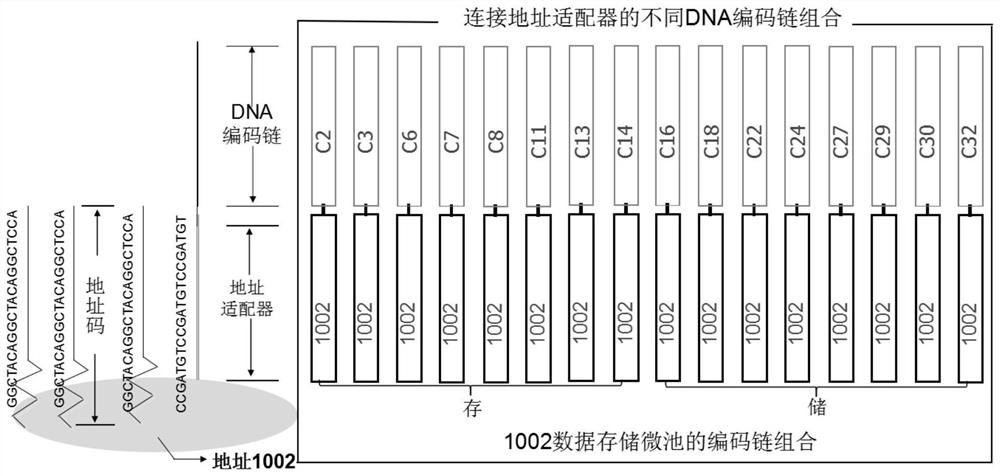 DNA information storage parallel addressing write-in method and system