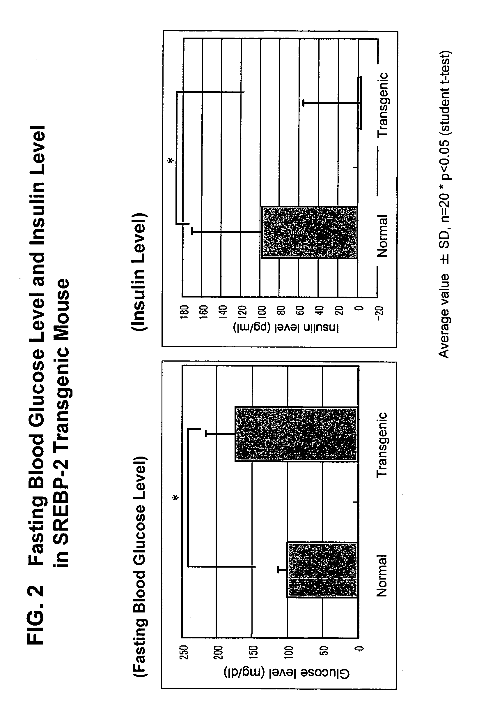 Nonhuman transgenic animal as type 2 diabetes model