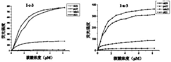 Nucleic acid dye compound and preparation method and application of nucleic acid dye compound