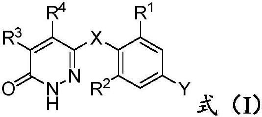 Pyridazinone derivative and application thereof