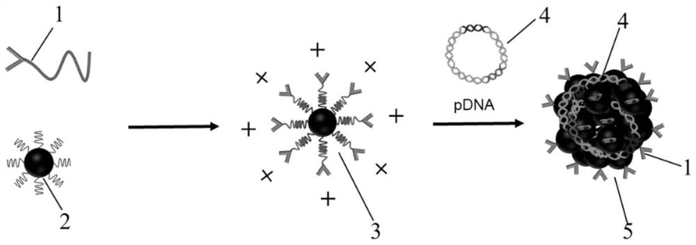 Liver-specific gene editing nano-drug as well as preparation method and application thereof