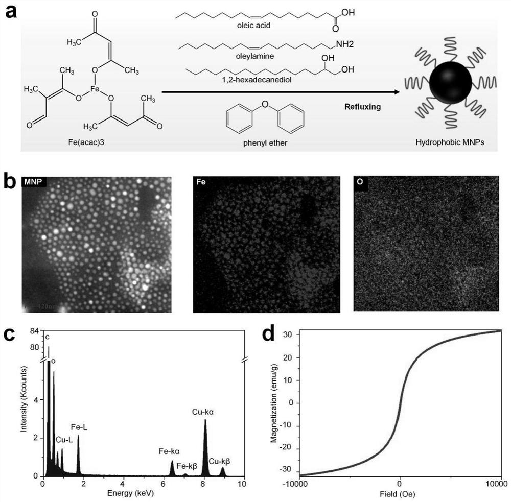 Liver-specific gene editing nano-drug as well as preparation method and application thereof