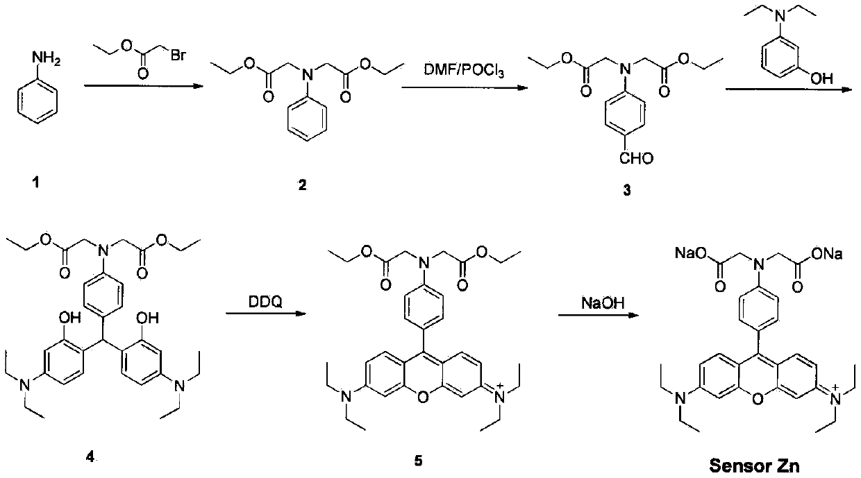 Fluorescent probe for detecting metal ion content in water, and applications thereof