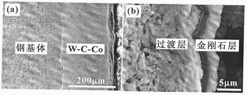 Diamond film coating steel matrix composite material and preparation method thereof