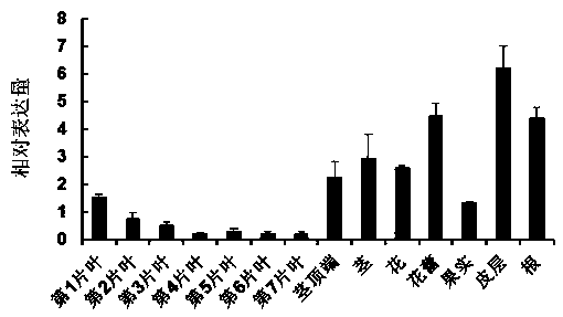 A gene for improving plant disease resistance and its application