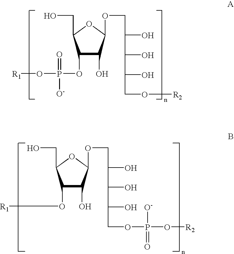 Oligosaccharides derived from ribose-ribitol-phosphate, and vaccines containing them