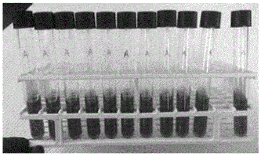 Mycoplasma anseris in-vitro liquid culture medium and preparation method thereof