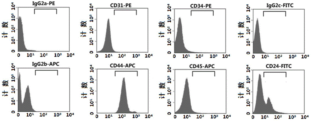 Application of Y-27632 inhibitor to CD44 positive intestinal stem cell sorting