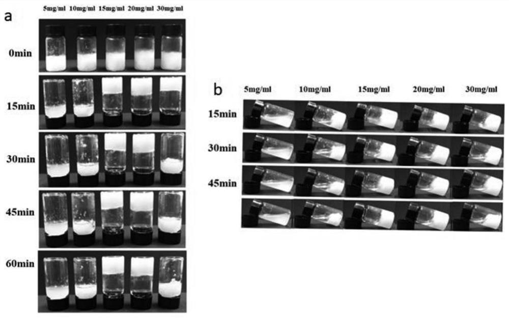Hydrogel loaded with photosynthetic bacteria as well as preparation method and application of hydrogel