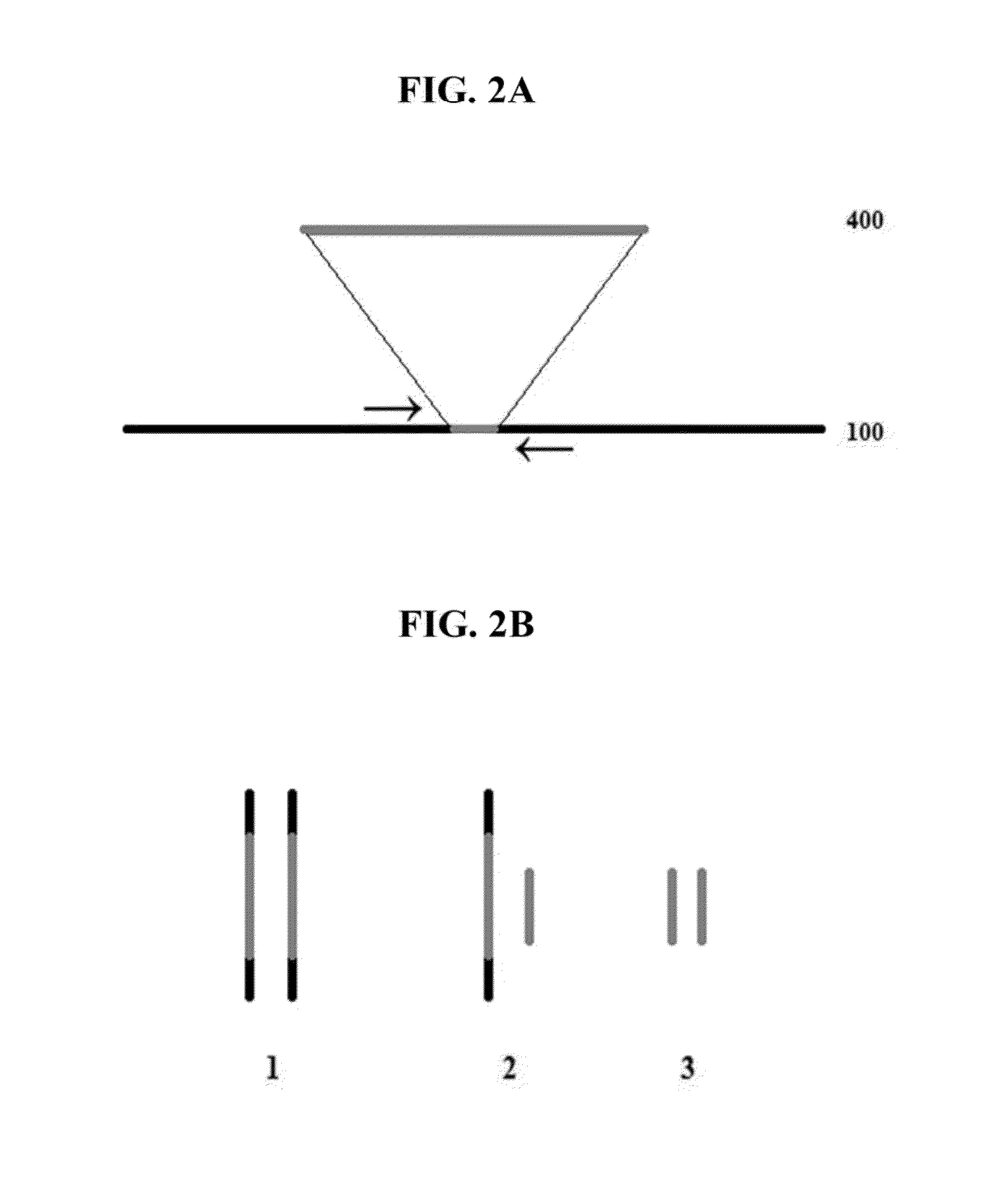 Method for genetic detection using interspersed genetic elements:  a multiplexed DNA analysis system
