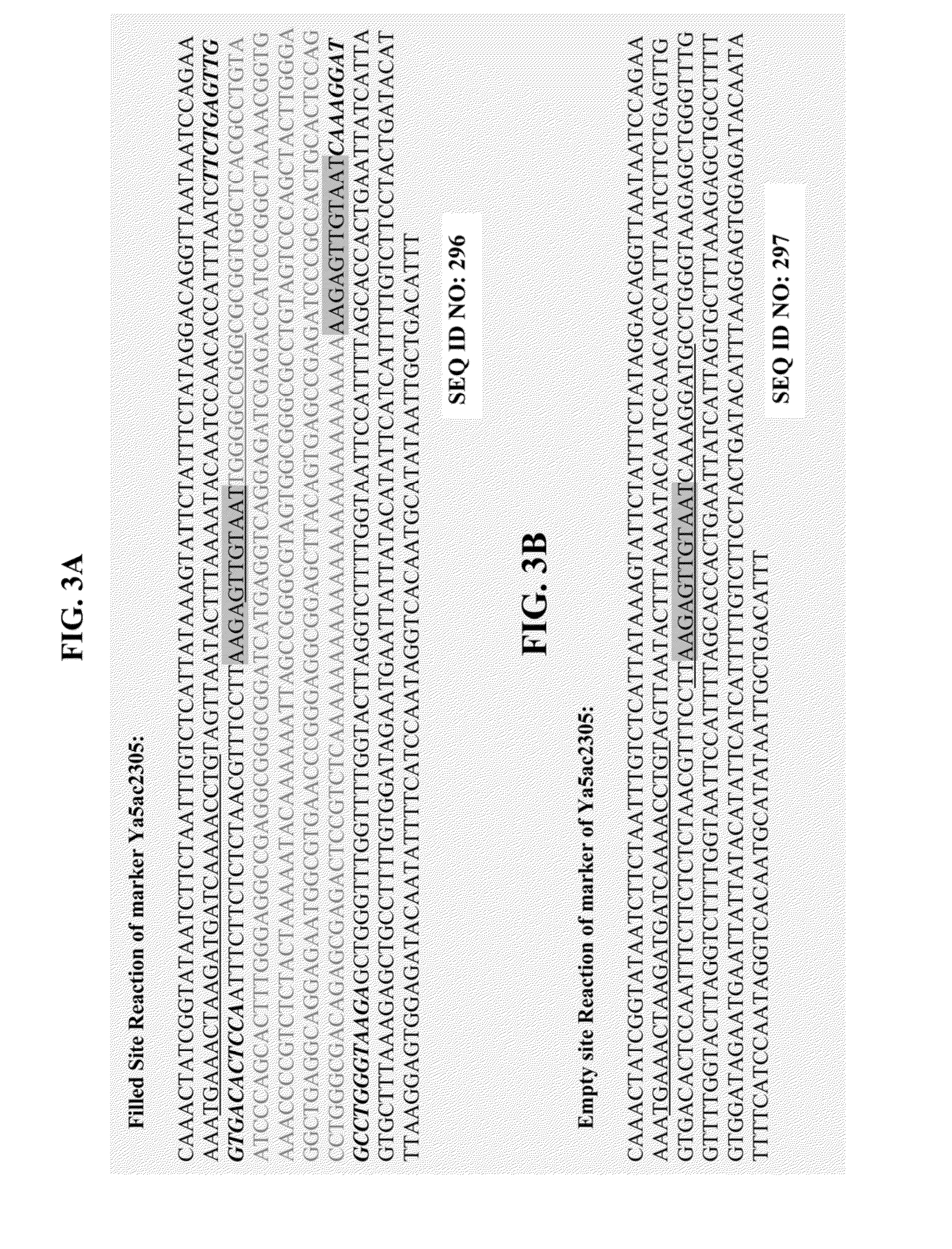 Method for genetic detection using interspersed genetic elements:  a multiplexed DNA analysis system