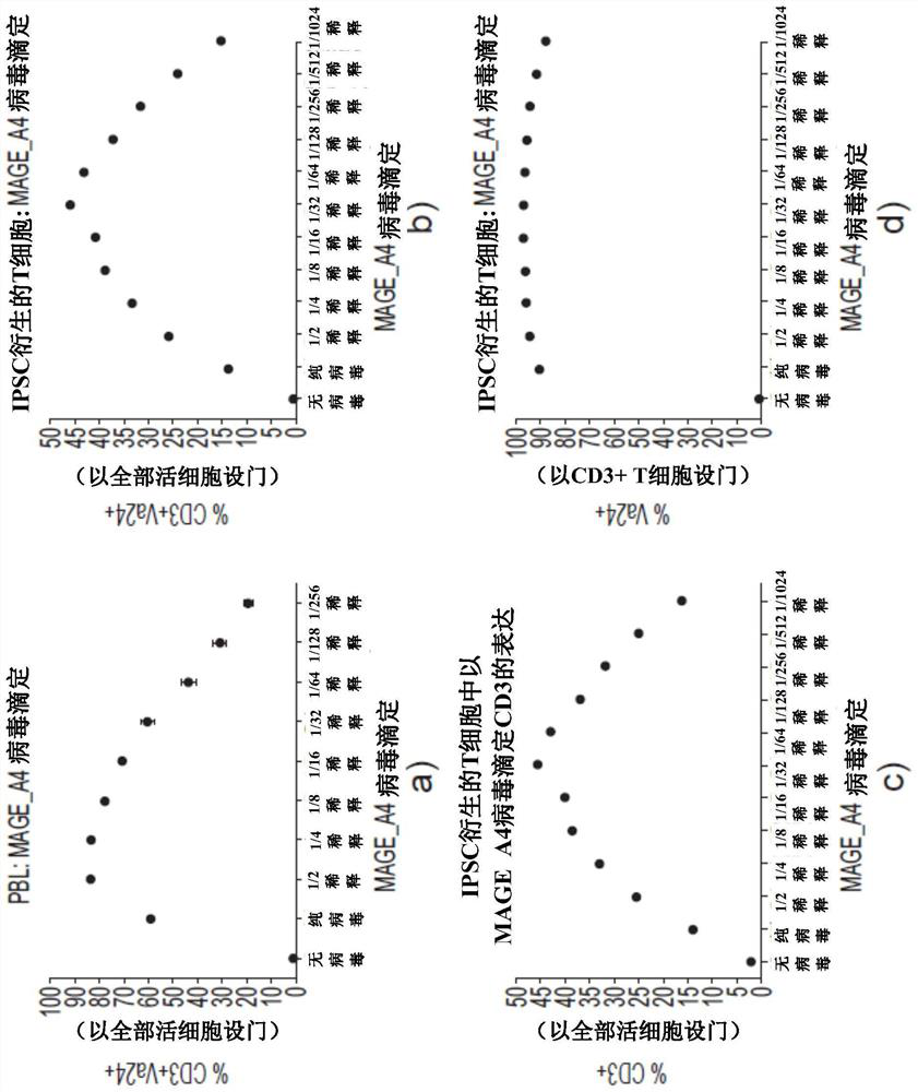 Production of T cells from RAG-inactivated iPSC