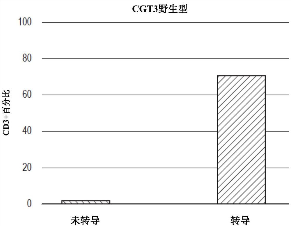 Production of T cells from RAG-inactivated iPSC