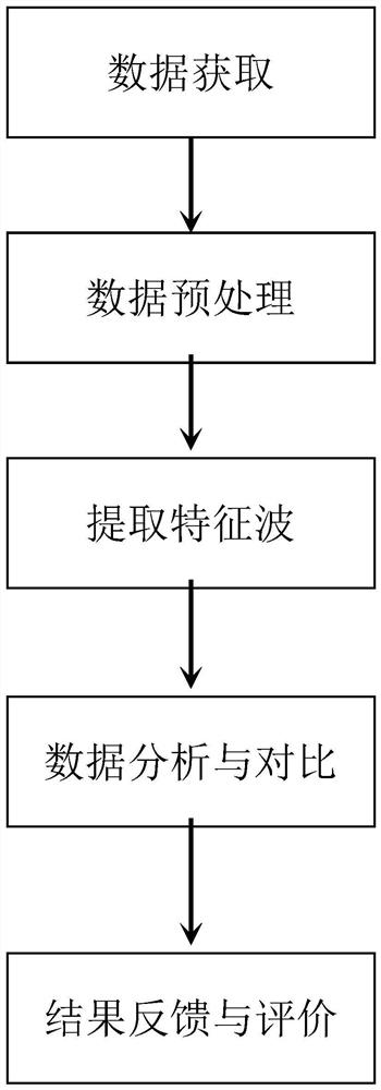 Non-contact ultrasonic detection method