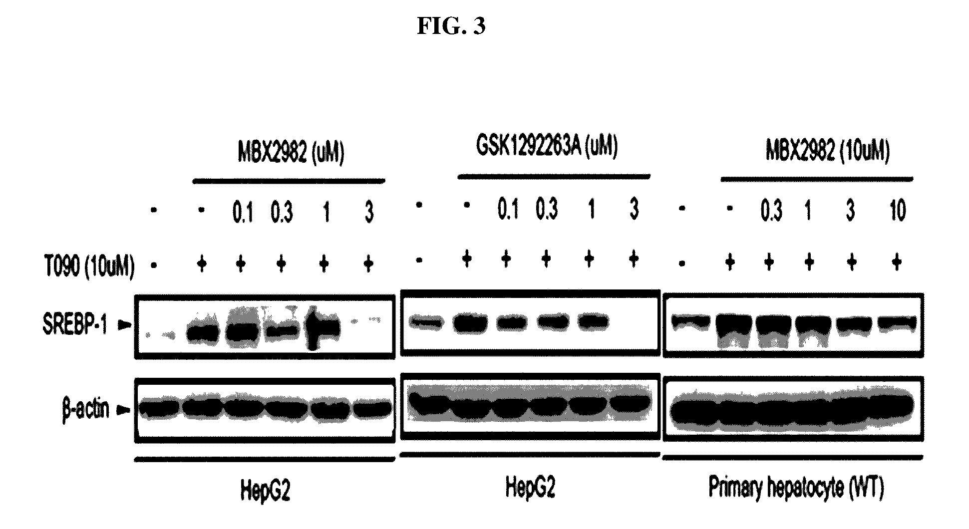 Pharmaceutical composition containing gpr119 ligand as active ingredient for preventing or treating non-alcoholic fatty liver disease