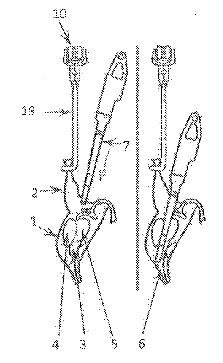 Apparatus and method for removing the entrails from the abdominal cavity of poultry